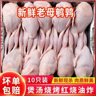 鹌鹑冻鲜新鲜现杀鹌鹑肉特大母鹌鹑肉冷货活体白条炖汤烧烤生骨肉