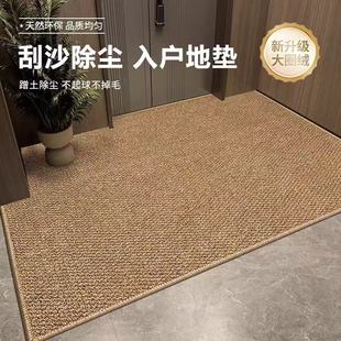 入户门地垫高级感进门脚垫家用玄关地毯可裁剪防滑垫子 2025新款