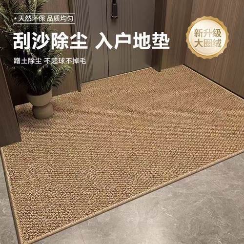 2025新款高级感入户地垫