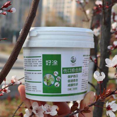 嫁接伤口愈合剂树枝封p口胶树木切口涂抹剂涂补剂树涂膜剂果树通