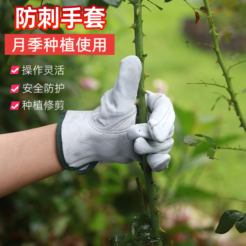 花艺师园艺手套朵维绿化