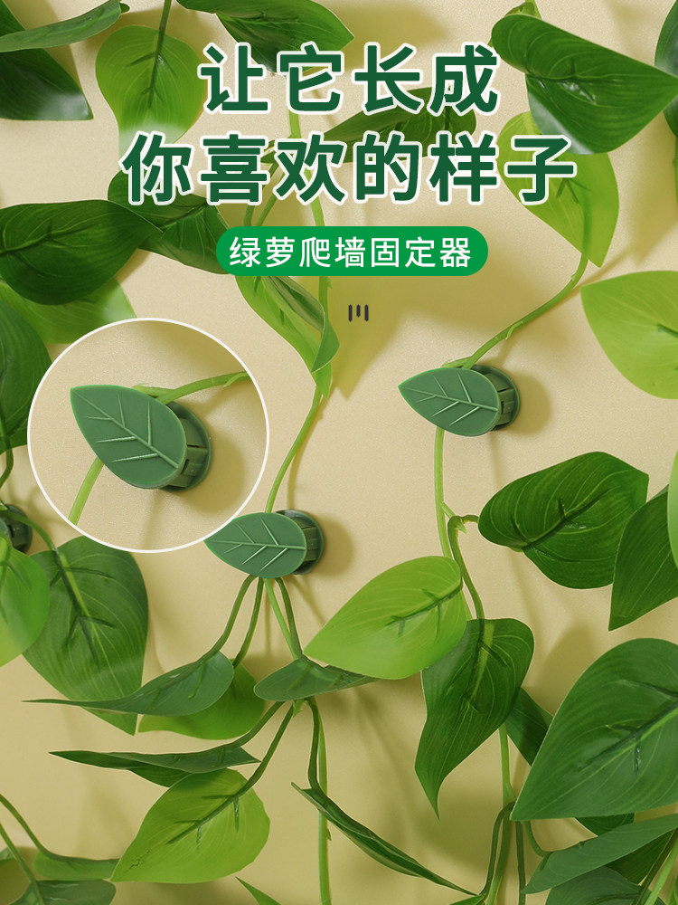 绿萝夹子藤蔓爬藤固定器植物爬上神器夹卡攀爬绿植盘藤挂钩吸盘扣