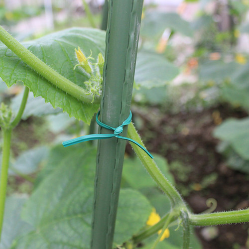 花卉造型捆绑固定爬藤植物绑扎带