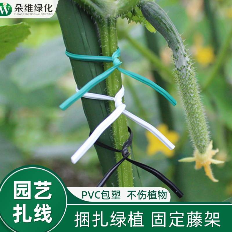 园艺扎带包塑铁丝扎线架爬藤植物固定绳捆扎带月季绑花神器铁支架