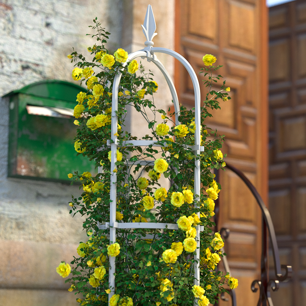 月季植物盆栽支撑杆玫瑰攀爬花架