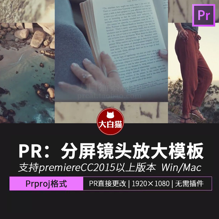 PR转场 多个画面中一个画面放大展示过渡动画 创意多帧PR模板,商务/设计服务,设计素材/源文件,淘宝优惠券,粉丝福利购,淘宝优惠卷