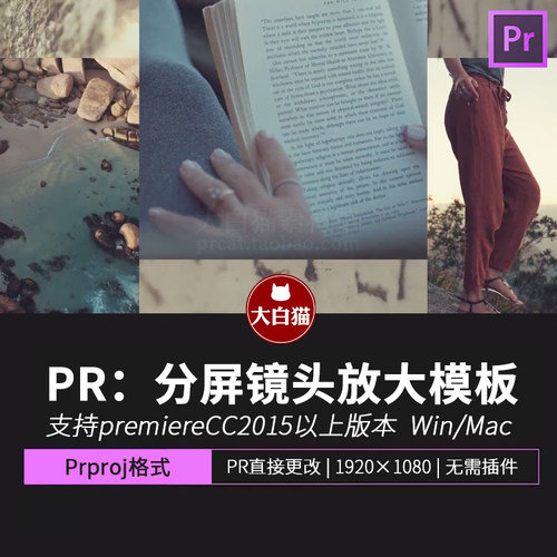 PR转场 多个画面中一个画面放大展示过渡动画 创意多帧PR模板