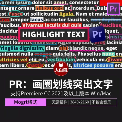 PR字幕重点内容画圈划线标注文字突出凸显示PR文字模板