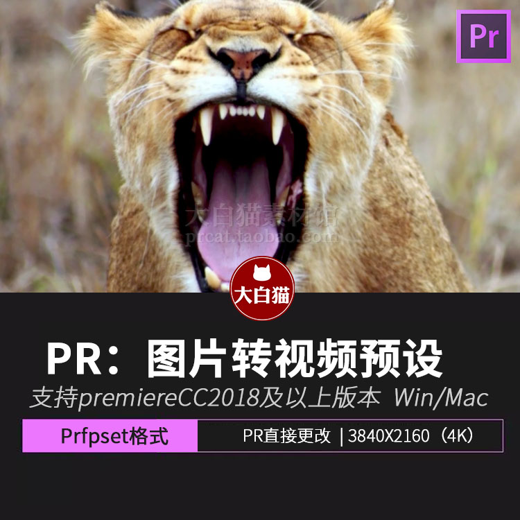 PR二维转三维 平面转立体 2D转3D推拉镜头画面放大Pr预设