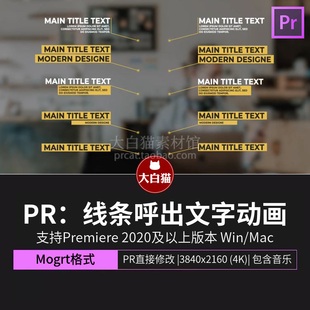 pr线条呼出20个干净简单现代定点标注解释说明文字动画PR动态图形