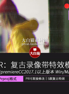 5种复古效果VHS影像带划痕噪波DV录像带VCR视频花屏噪点PR模板