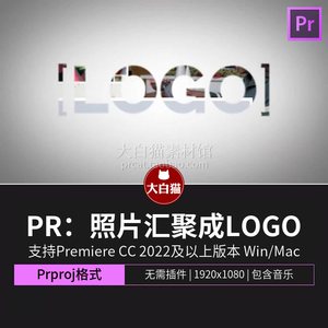 premiere模板下载 10张照片汇聚成LOGO的简单企业宣传pr片头模板