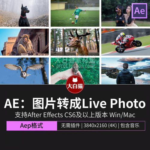 AE模板 照片图片转成Live Photos动画动态三维运动视差视频效果