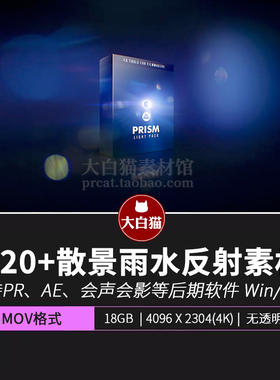 120 光效叠加素材变形散景科幻雨水波反射 Bigfilms PRISM Light