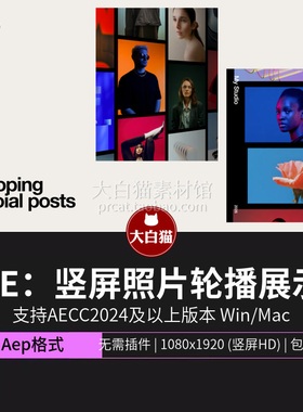 ae模版 工作室作品集图片滚动竖屏照片一张张轮播展示竖版Ae模板