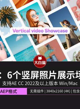 Ae模板 6个团建度假干净简洁竖屏照片展示场景照片墙ae模版