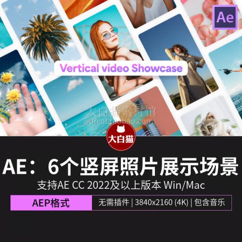Ae模板 6个团建度假干净简洁竖屏照片展示场景照片墙ae模版