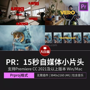 pr片头模板 快节奏卡点快闪15秒自媒体短视频小片头pr动画