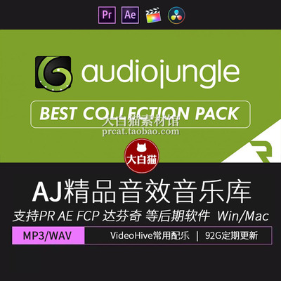 Audio jungle音乐素材库AE模板背景卡点音效宣传片PR影视后期配乐