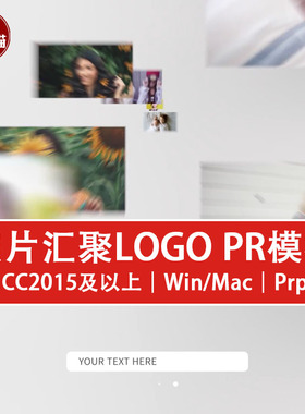 PR片头模板 企业品牌店铺搜索照片汇聚片头LOGO展示PR模板
