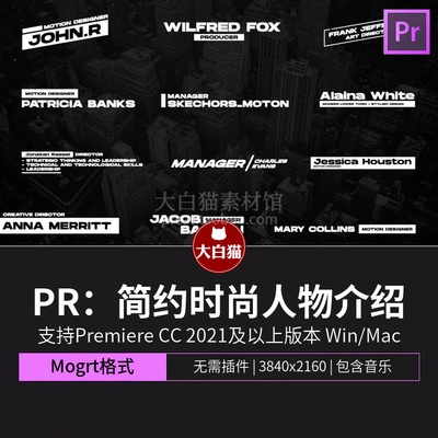 Pr字幕条 商务简约时尚人物介绍文本动态图形PR文字动画