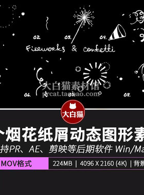 ae pr视频素材生日节日活动庆祝8个手绘动态烟花五彩纸屑涂鸦动画