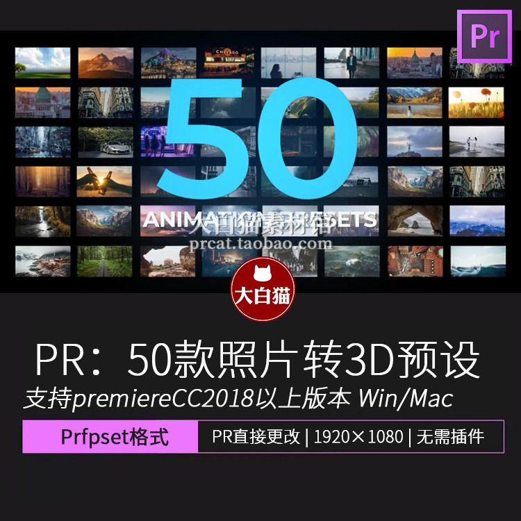 PR图片转视频 50个二维转三维 平面转立体推拉镜头画面放大Pr预设 商务/设计服务 设计素材/源文件 原图主图