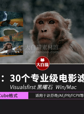 Visualsfirst 黑曜石 30个灰黑暗黑电影大片视频滤镜调色预设Luts