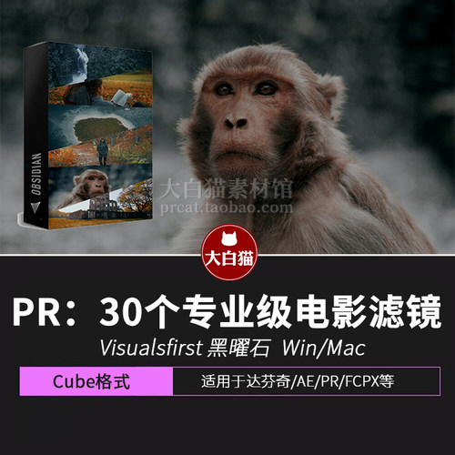 Visualsfirst 黑曜石 30个灰黑暗黑电影大片视频滤镜调色预设Luts