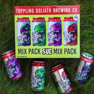 航玖汇击倒巨人暴龙苏瑞瓦卡尼尔森苏维暴龙组合精酿啤酒355ml