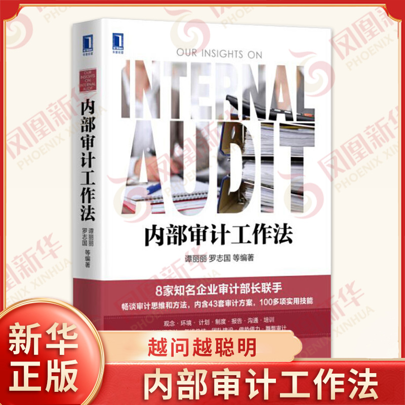 内部审计工作法 财务管理审计法规审计思维和方法 大数据审计 大量真实内审案例 审计数据分析 企业内部控制会计审计统计正版书籍