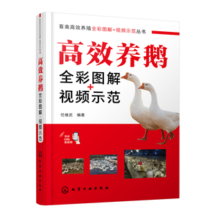 高效养鹅全彩图解+视频示范任继武  编著畜牧/养殖化学工业出版社新华书店正版