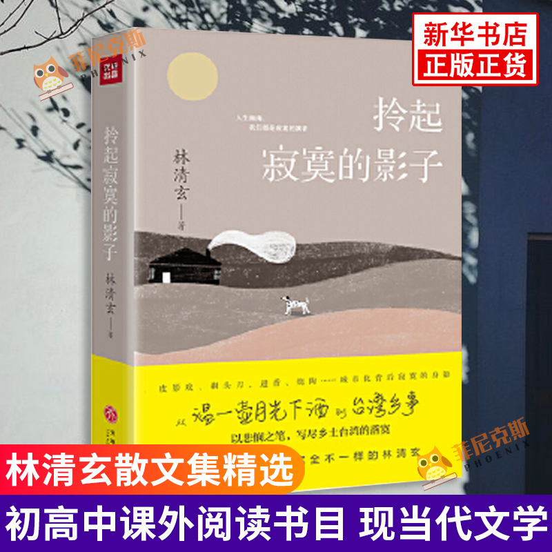 拎起寂寞的影子 林清玄 著 林清玄散文集精选 林清玄的书 青少年