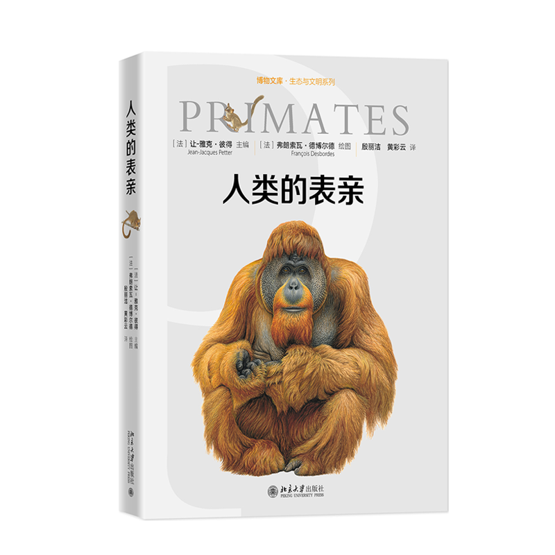 人类的表亲 博物文库.生态与文明系列 北京大学出版社 科普读物 新华正版书籍