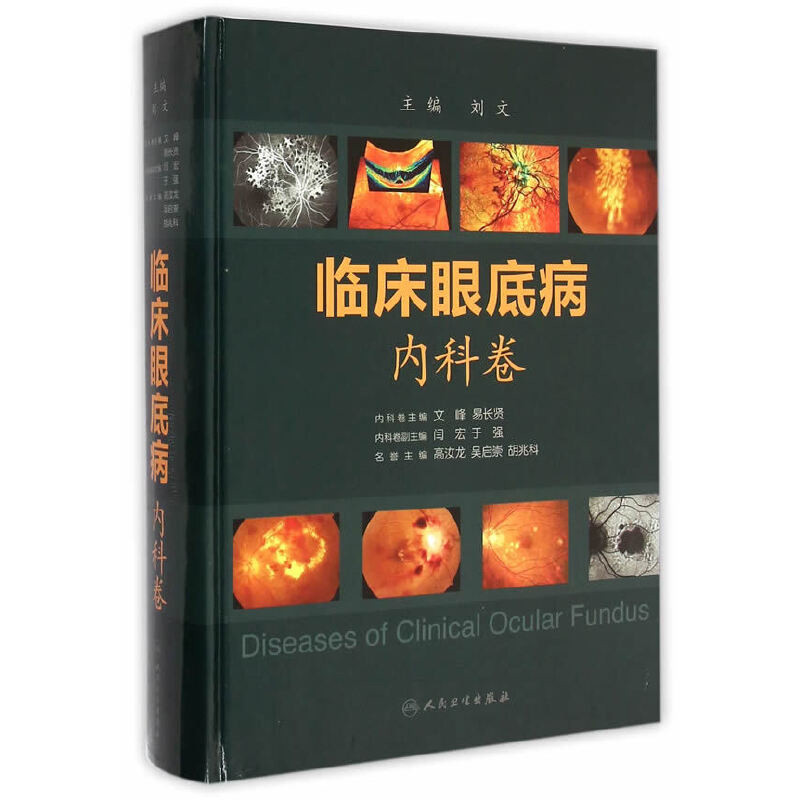 临床眼底病(内科卷)文峰眼科学人民卫生出版社新华书店正版