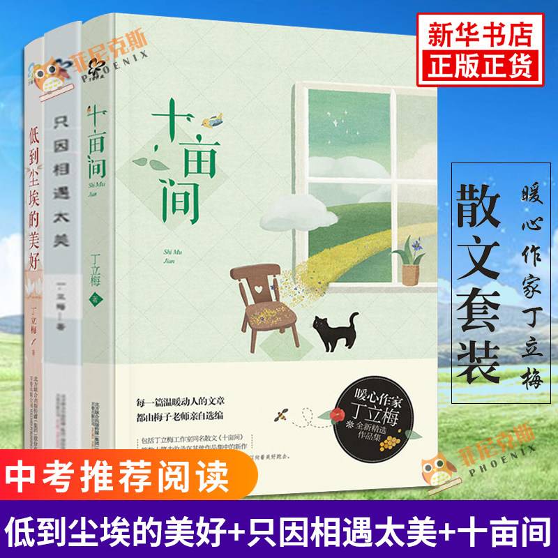 丁立梅精选散文集 低到尘埃的美好+只因相遇太美+十亩间套装3册中考语文中学生拓展阅读青少年小说文学散文随笔新华书店正版书籍