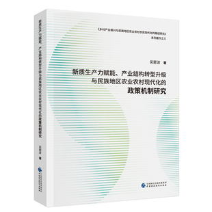 新质生产力赋能.产业结构转型升级与民族地区农业农村现代化的政策机制研究吴碧波经济理论中国财政经济出版社新华书店正版