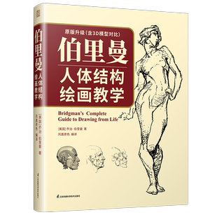 伯里曼人體結(jié)構(gòu)繪畫教學(xué)