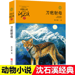 刀疤豺母动物小说大王沈石溪品藏书系 沈石溪动物小说 儿童文学书籍9-11-12-14岁 小学生3-5-6年级课外书籍 正版青少年读物
