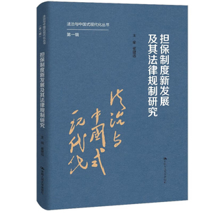 担保制度新发展及其法律规制研究崔建远司法案例/实务解析中国人民大学出版社新华书店正版