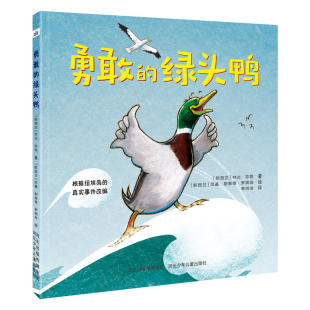 林达·芬恩绘本 新西兰 图画书 少儿动漫书河北少年儿童出版 勇敢 社新华书店正版 绿头鸭