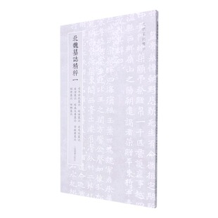 司马金龙墓志.赵谧墓志.司马悦墓志.皮演墓志.赵盛夫妻墓志.常敬兰墓志.程墓志.缑显墓志-北魏墓誌精粹(一)北朝墓志精粹