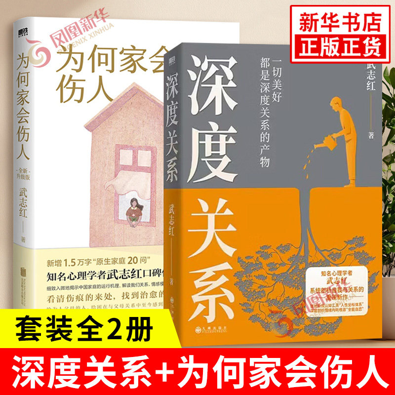 套装全2册 深度关系+为何家会伤人 武志红著 系统剖析自我与关系 揭示家庭中的心理真相心理学 心理自助自救指南 新华书店正版书籍
