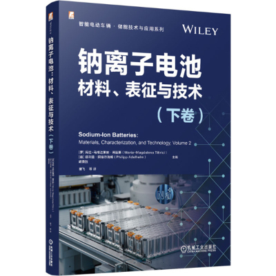钠离子电池-材料.表征与技术(下)-智能电动车辆.储能技术与应用系列(罗)玛拉-马格达莱纳.蒂廷斯环境科学机械工业出版社