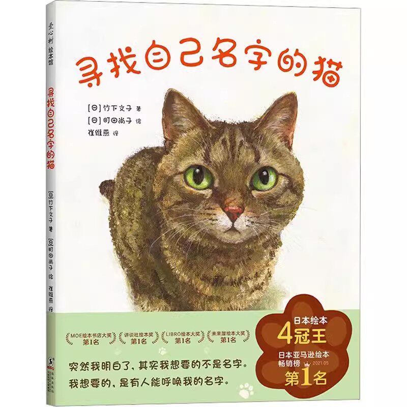 寻找自己名字的猫 - 实物图