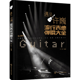 遇见许巍 流行吉他弹唱大全 吉他谱书籍 流行歌曲谱 吉他入门自学教程书初学者教材 吉他弹唱书吉他乐谱曲谱吉他乐理基础知识 正版