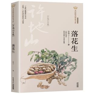 落花生 许地山专集 美冠纯美阅读书系 彩绘本 小学语文教材同步阅读 三四五六年级小学生课外阅读书目 8-12岁儿童文学 新华正版