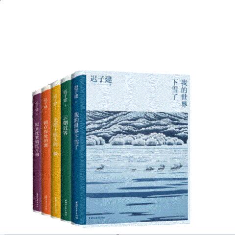 迟子建散文典藏全5册 浙江文艺出版社 正版书籍 中国近代随笔 新华书店正版