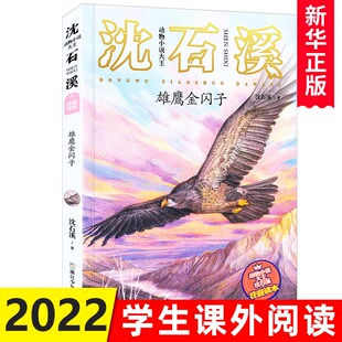 雄鹰金闪子 注音版 动物小说大王沈石溪著 6-8-10周岁一二年级小学生课外阅读书籍儿童故事书语文店长书目 新华正版