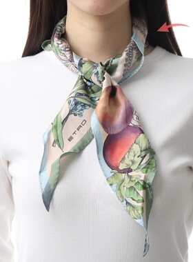 韩国直邮ETRO WAXA0017AKE66 S9870 围巾